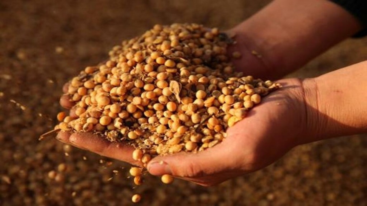 Push to declare 2026 as ‘Year of Soy’ to boost nutrition, farmer incomes